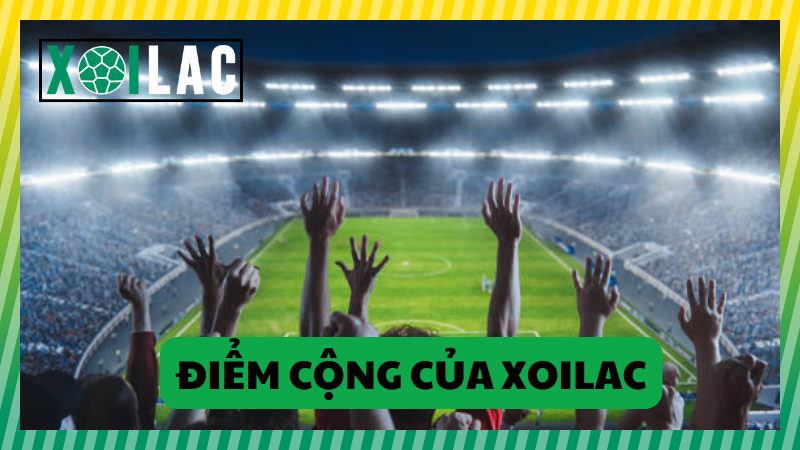 Điểm cộng của Xôi lạc trong mắt người hâm mộ bóng đá Điểm cộng của Xôi lạc trong mắt người hâm mộ bóng đá